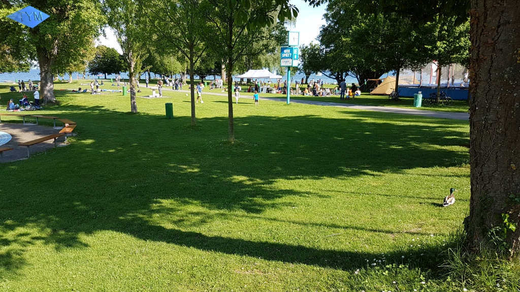 LAKEline Festival 2017 in Konstanz